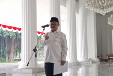 Guru Non-ASN Tak Lulus PNS dan PPPK Tetap Digaji dari Dana BOS, Ini Penjelasan Mendikdasmen