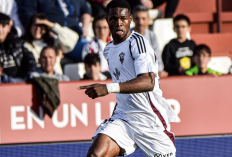 Arsenal Incar Pemain Berbakat Bundesliga Rp1,3 Triliun, 2 Target Newcastle dalam Radar The Gunners