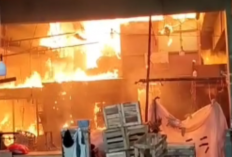 Kronologi Kebakaran Los Pepaya Pasar Induk Kramat Jati, Terdengar 2 Kali Ledakan