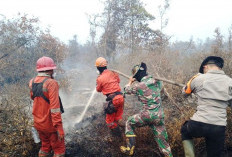 Titik Panas Karhutla Berkurang Jadi 317, Operasi di Daerah Rawan Tetap Diperkuat