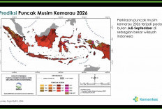Kemenkes Ungkap Bahaya Asap Karhutla bagi Kesehatan, Bisa Picu ISPA hingga Stroke