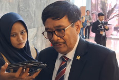 Dua Tahun Pemerintahan Prabowo, Djarot PDIP Soroti Karhutla hingga IHSG dan Rupiah Melemah