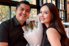 Profil dan Biodata Diska Resha Suami Sarah Gibson Keciduk Selingkuh, Ternyata CEO dan Politisi