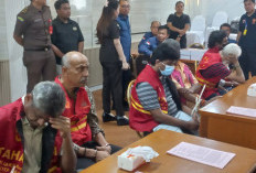 Ini Daftar Satwa Langka yang Nyaris Diselundupkan ke Luar Negeri, Burung Cendrawasih Hingga Primata