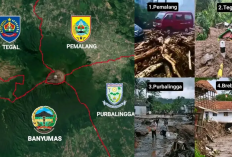 4 Kabupaten Diterjang Banjir Bandang Gunung Slamet, BNPB Ungkap Faktor Pemicunya