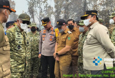 Penanganan Karhutla Pulang Pisau Ditinjau Langsung Oleh BNPB dan Kasad