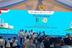 Resmi! Prabowo Berlakukan Program Biodiesel B50 di Indonesia