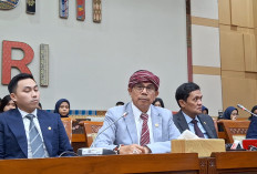 Hinca Pandjaitan: Penyerahan Kasus Febrie Adriansyah ke Kejaksaan Sudah Sesuai Mekanisme KUHAP