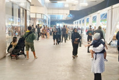 APBN Tetap Sehat, Ekonom Puji Disiplin Fiskal dan Penerimaan Negara