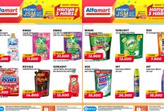 Promo JSM Alfamart Terbaru Hari Ini 25 Oktober 2026, Diskon Rinso Liquid hanya Rp11 Ribuan!