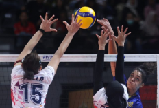 Link Streaming dan Live Score Proliga 2026 Putaran ke 2 di Medan Hari ini 15 Januari, Tayang di Mana?