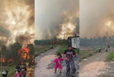 Detik-detik Api Karhutla Dekati Permukiman Barito Kuala, Warga Panik Selamatkan Diri