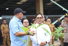 Demi Udara Lebih Bersih, Bogor Kembangkan Hutan Kota dan RTH Bersama Balai Rumpin