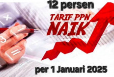 PPN 12 Persen Berlaku Tahun Depan, Ekonom CELIOS Ungkap PHK Bisa Terjadi di Berbagai Sektor