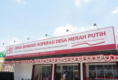 Ketentuan Penalti Rp100 Juta Dicabut, Peserta Seleksi KDKMP-KNMP Bisa Konfirmasi Ulang