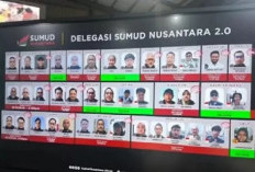 Kemlu Konfirmasi 9 WNI Misi Kemanusiaan GSF 2.0 Ditangkap Israel