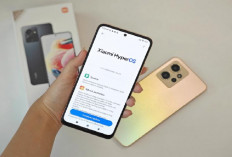 74 Daftar HP Xiaomi yang Bakal Update HyperOS 2.0 dan Android 15, Apa Saja?