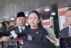 DPR Proses 4 Calon Pejabat BI Usulan Presiden Prabowo, Ini Daftar Namanya
