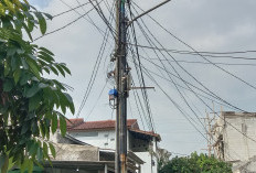 Internet Rp100 Ribu: Antara Harapan Warkop Menteng, Bisikan Kos Palmerah dan Gamang Sang Raksasa