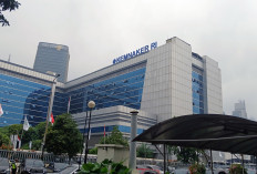 164 TKA Tanpa RPTKA Terjaring, Kemnaker Jatuhkan Denda Rp2,17 Miliar ke PT BAP