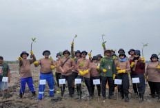 Perkuat Ketahanan Pesisir Utara Jawa Hadapi Perubahan Iklim dengan 269.000 Mangrove