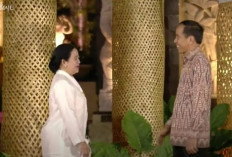 Puan Bocorkan Pembicaraan Saat Bertemu Jokowi di WWF 2024 Bali