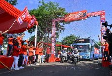 Kapan Lagi Mudik Gratis 2026 Naik Pesawat! Syaratnya Cukup Jadi Member Alfamidi