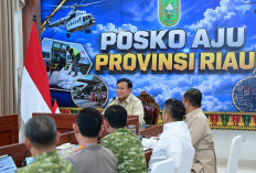 Prabowo Perintahkan Tambah Helikopter dan 20 Ekskavator Atasi Karhutla Sumsel