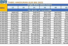 Terbaru! Tabel Angsuran KUR BRI 2025 Plafon Rp100-Rp500 Juta, Cek Cicilan Terendah