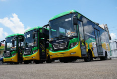 Pengelolaan Teman Bus di Yogyakarta dan Bali Akan Beralih kepada Pemda Setempat Per Januari 2025