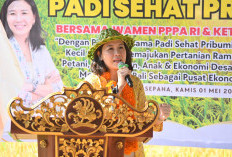 Semua Keluarga Harus Punya Family Planning, WamenPPPA: Demi Anak Tumbuh Berkualitas