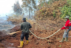 1.436 Hotspot Muncul di Sumatera, Riau Catat 246 Titik, Hujan Buatan Dikerahkan