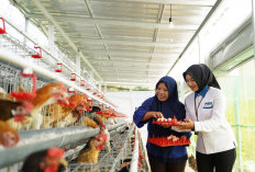  Ketahanan Pangan Berbasis Komunitas, Strategi PNM Perkuat Gizi Masyarakat