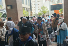 22.184 Jemaah Haji Indonesia Tiba di Madinah, Lansia dalam Pengawalan Ekstra