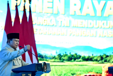 'Kok Bisa Menang?' Prabowo Sebut Senjata Buatan RI Dikira Curang hingga Diperiksa di Ajang Internasional