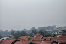 Warga Jambi Keluhkan Udara Buruk, AQI Capai 152 Kategori Tidak Sehat