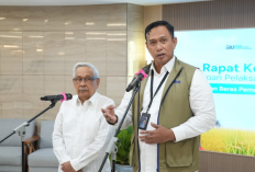 Bulog Gandeng PERPADI Percepat Pengolahan 2 Juta Ton Beras Premium untuk Perkuat Ketahanan Pangan