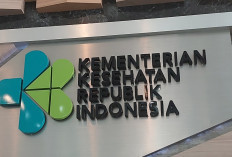 Dokter IDAI Diberhentikan Disebut gegara Kritik Mutasi dr Piprim, Ini Penjelasan Kemenkes 