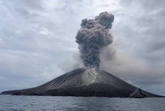 Dampak Kesehatan Terpapar Abu Vulkanik Gunung Anak Krakatau, Begini Cara Melindungi Diri