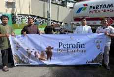 Sebar 7.290 Daging Kurban ke Berbagai Daerah, Elnusa Petrofin Kedepankan Keberlanjutan Product Life Cycle