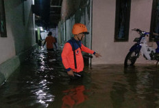 Ribuan Rumah dan Belasan Hektar Sawah di Cirebon Terendam Banjir, 16.310 Jiwa Terdampak