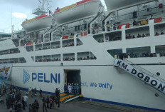 Asyik! Tiket Kapal Pelni Diskon 30 Persen untuk Mudik Lebaran 2026, Cek Syarat dan Cara Pesannya di Sini