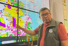 Habitat Harimau Sumatera Terancam, Karhutla Gulung SM Kerumutan di Riau