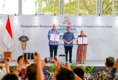Kopi Olahan Indonesia Masuk Pasar Australia, Cokelat dan Susu Bidik Pasar Global