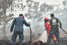 Karhutla Belum Padam Sejak Agustus, Pemerintah Kerahkan Satgas Darat dan Udara