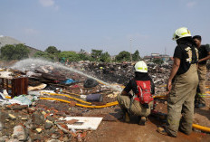 Dinas LH Selidiki Kasus Terbakarnya Lapak Sampah di Kramat Jati, Panggil Pengelola