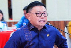 Profil dan Biodata Ujang Iskandar Anggota DPR RI Fraksi Nasdem yang Ditangkap Kejagung di Bandara Soetta Usai Oplas di Vietnam