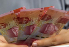 5 Fakta Dana Cepat Pinjol, Apakah Semua Diawasi OJK?