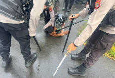 Preman Acungkan Sajam ke Polisi di Cengkareng Ternyata Sempat Berhentikan Busway