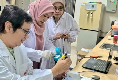 Keren! Alat Inovasi Peneliti PTKIN Mampu Deteksi DNA Babi Secara Cepat dan Akurat